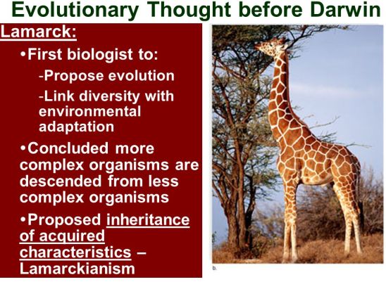Evolutionary+Thought+before+Darwin