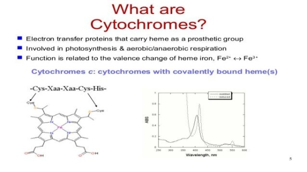 cytochromes-1-638